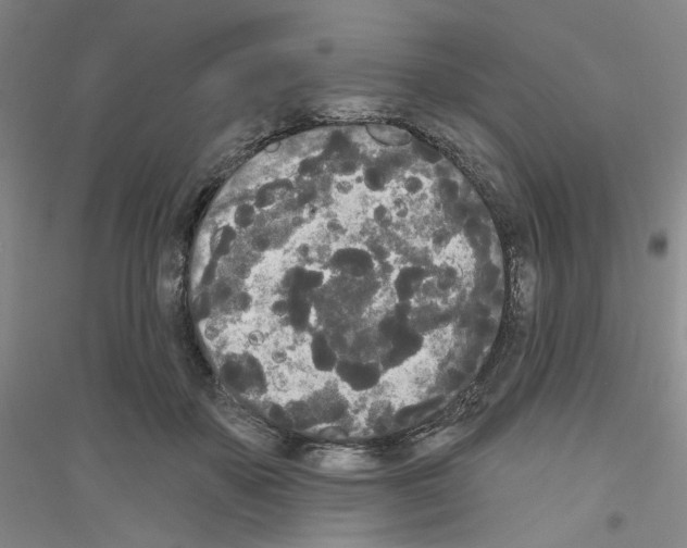 X0000116850507201002021048