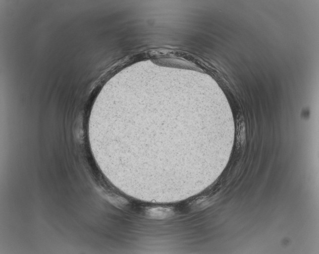 X0000116850508201002021048