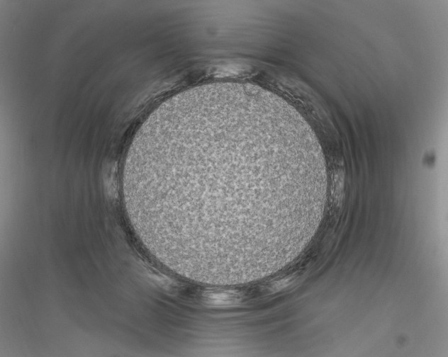 X0000116850510201002021048