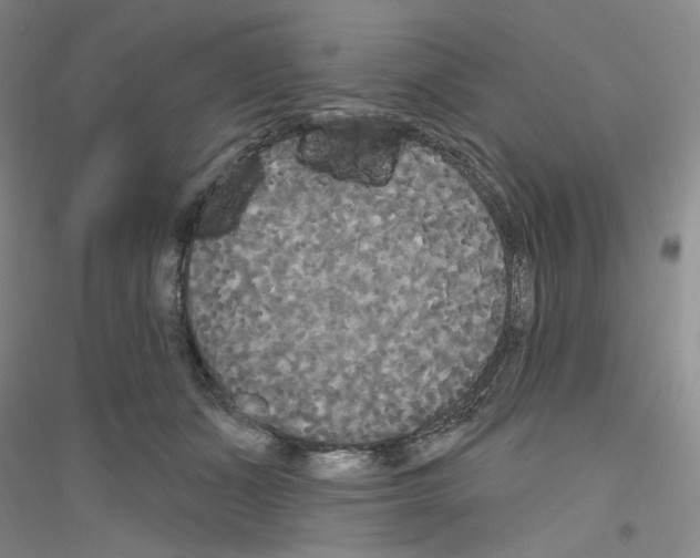 X0000116850511201002021048