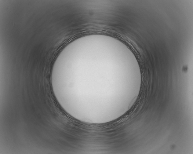 X0000116850513201002021048