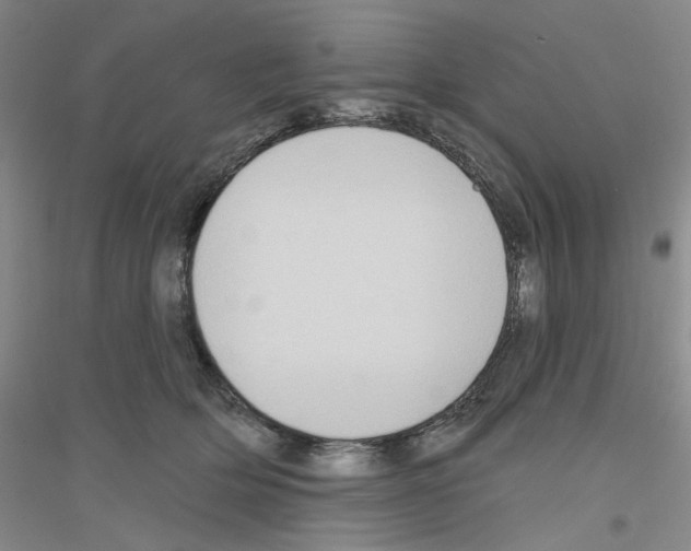 X0000116850514201002021048