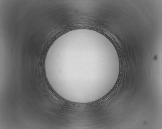 X0000116850517201002021048