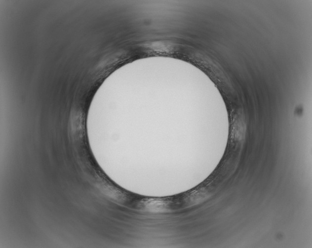 X0000116850518201002021048