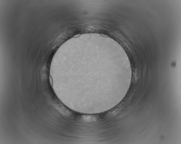 X0000116850520201002021048