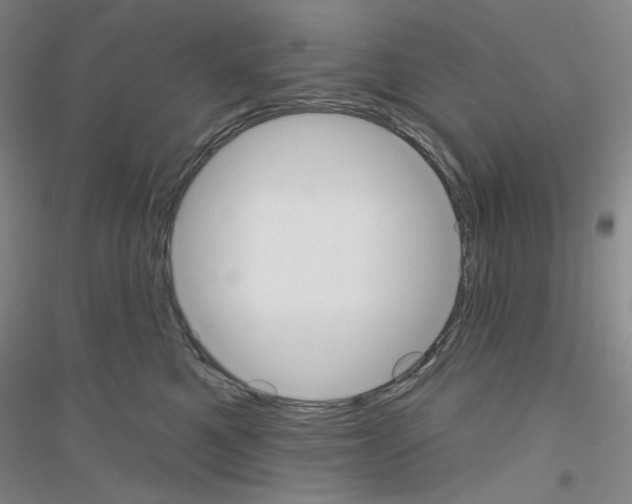 X0000116850521201002021048