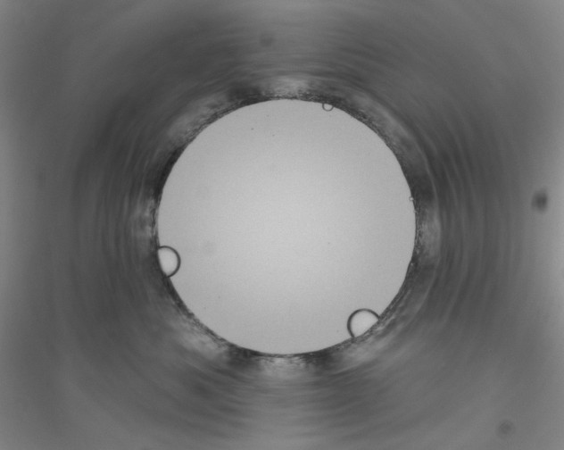 X0000116850525201002021048