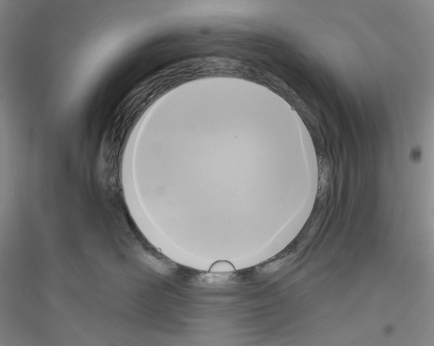 X0000116850526201002021048