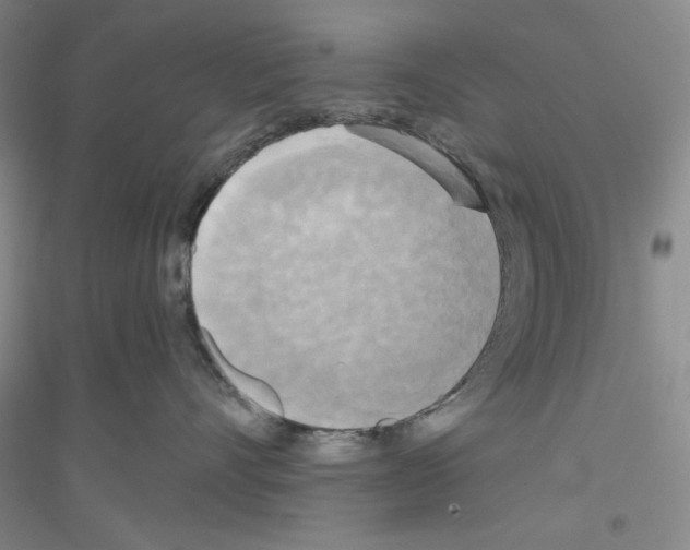 X0000116850528201002021048