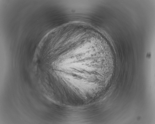 X0000116850529201002021047