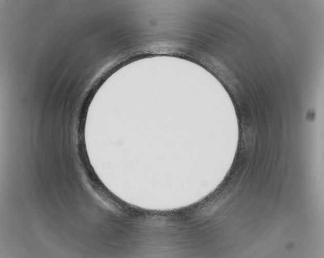 X0000116850530201002021047