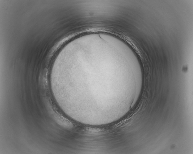 X0000116850531201002021047