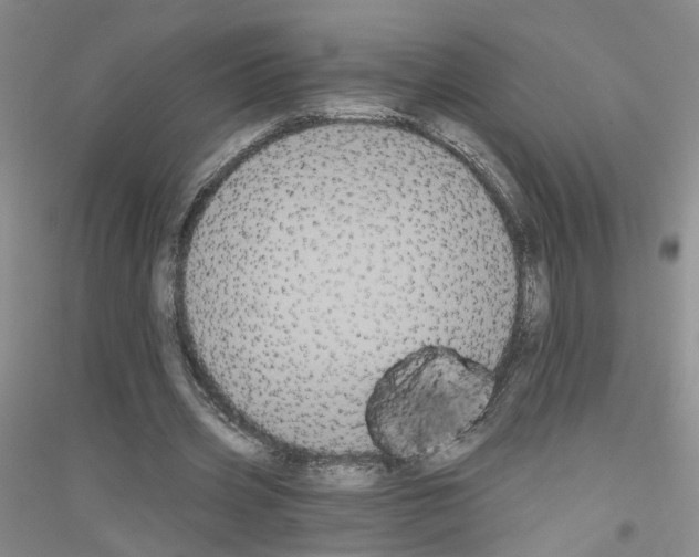 X0000116850533201002021047