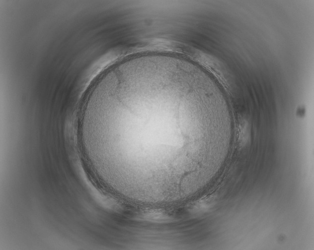 X0000116850534201002021047