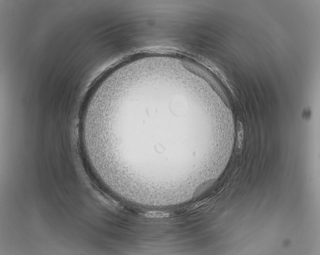 X0000116850535201002021047