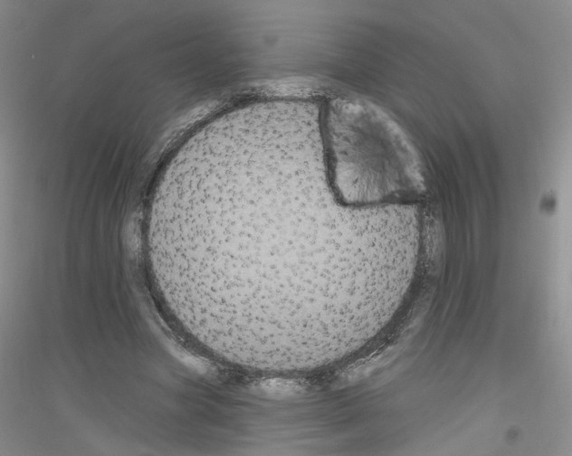 X0000116850537201002021047