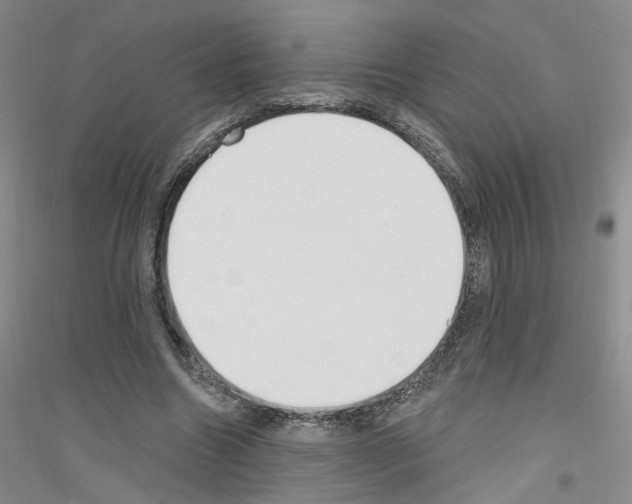 X0000116850538201002021047