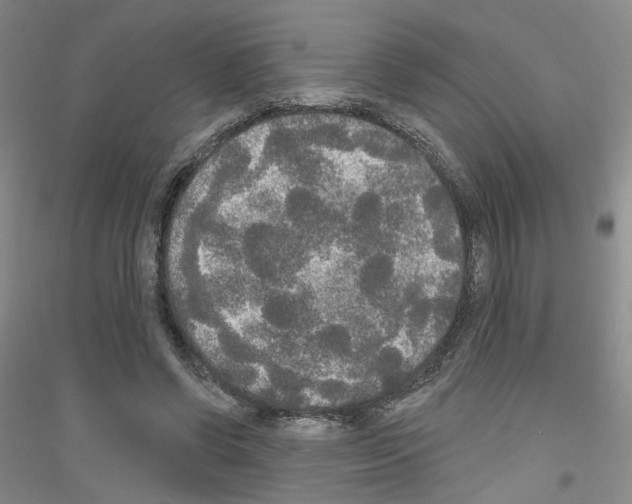 X0000116850542201002021047