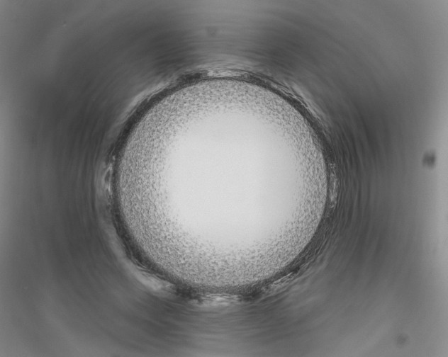 X0000116850543201002021047
