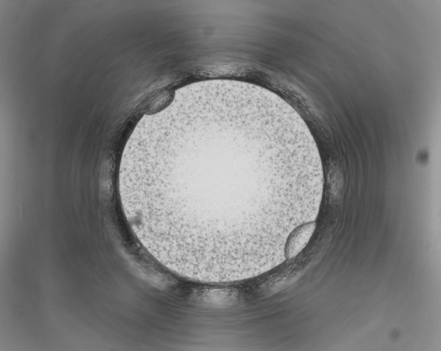 X0000116850546201002021047