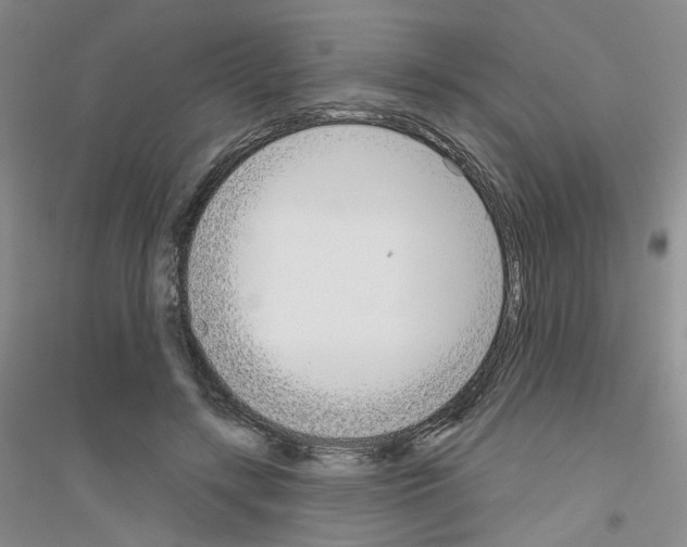 X0000116850547201002021047