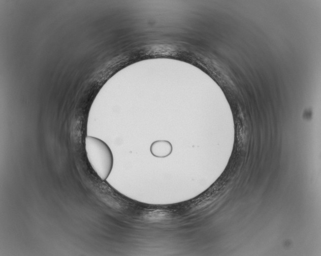 X0000116850551201002021047