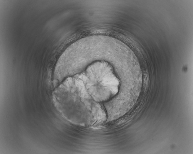 X0000116850557201002021047