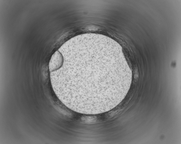 X0000116850559201002021047