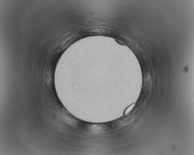 X0000116850566201002021048