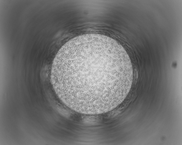 X0000116850567201002021048