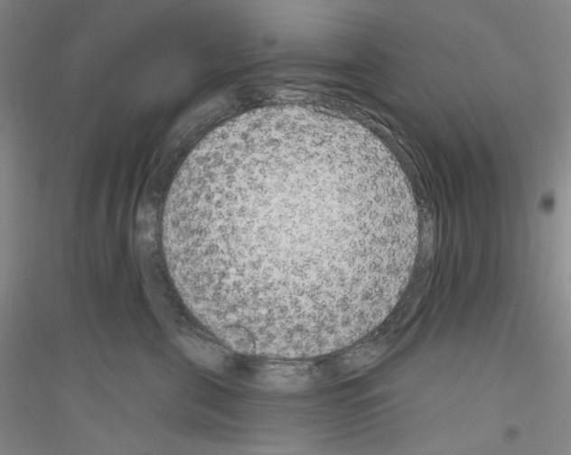 X0000116850571201002021048