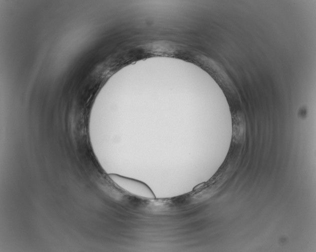 X0000116850573201002021048