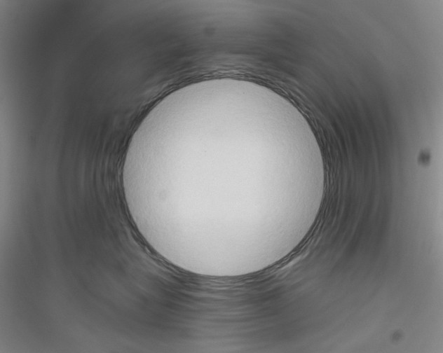 X0000116850575201002021048