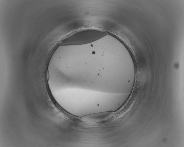 X0000116850577201002021047