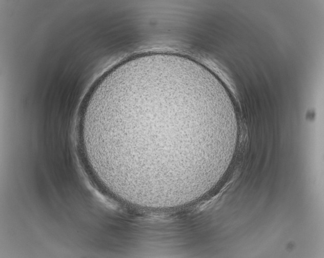 X0000116850578201002021047