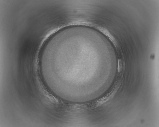 X0000116850579201002021047