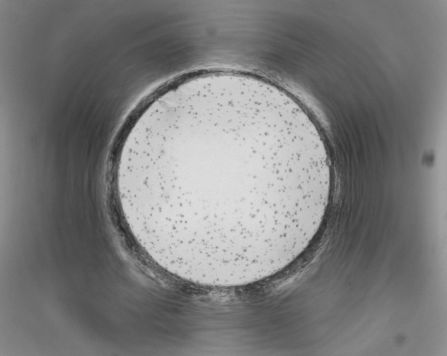 X0000116850580201002021047