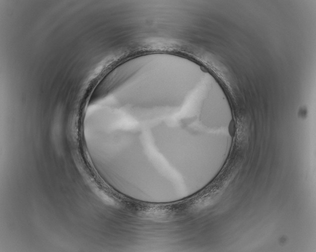 X0000116850581201002021047