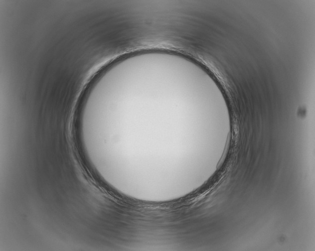 X0000116850583201002021047