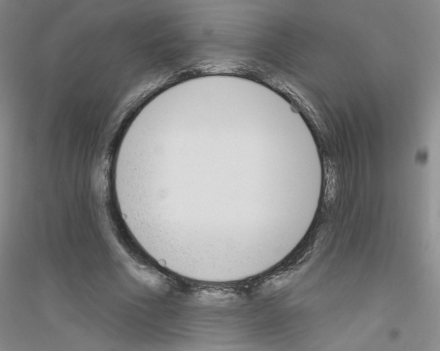 X0000116850586201002021047