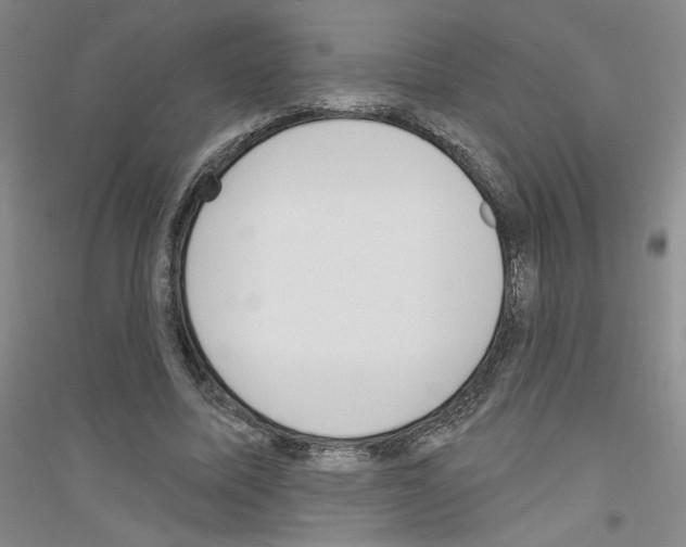 X0000116850587201002021047