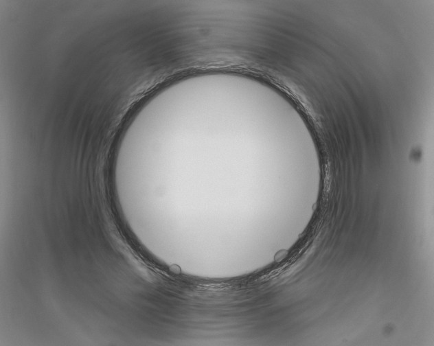 X0000116850589201002021047