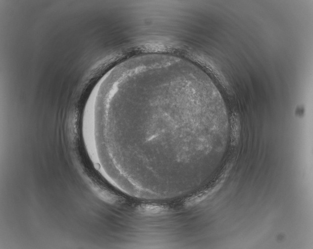 X0000116850590201002021047