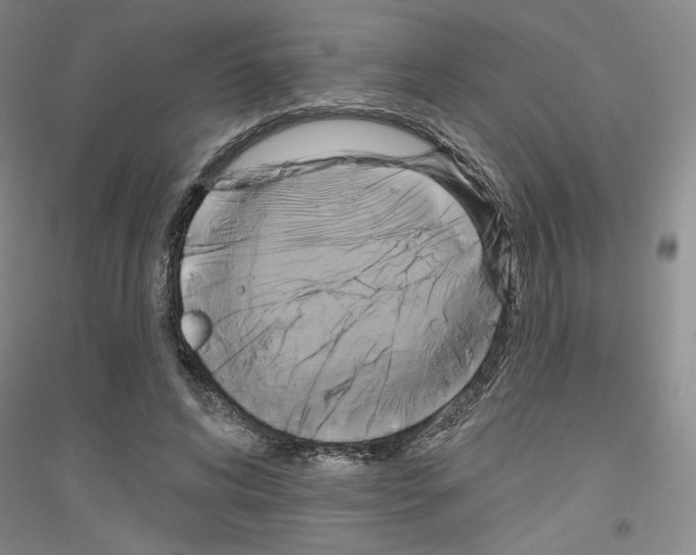 X0000116850592201002021047