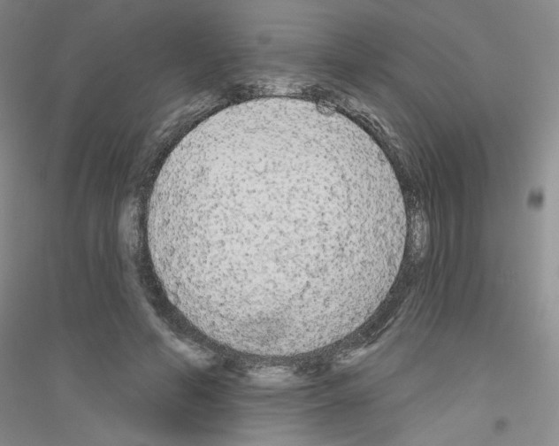 X0000116850594201002021047