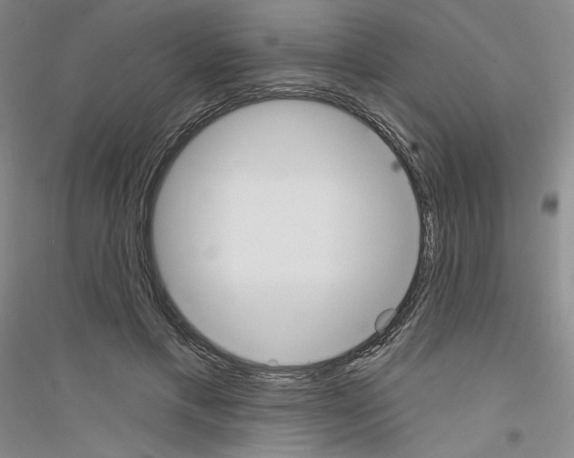 X0000116850597201002021047
