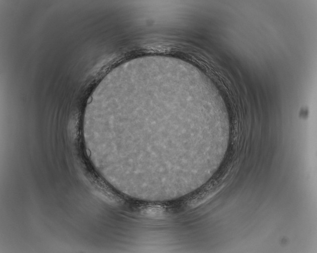 X0000116850600201002021047