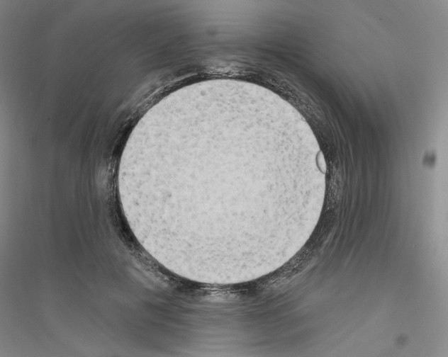 X0000116850601201002021047