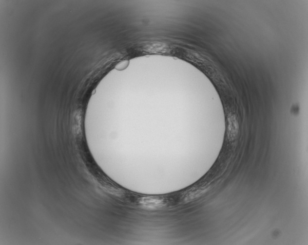 X0000116850602201002021047