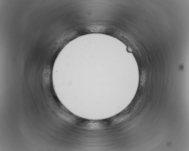 X0000116850604201002021047